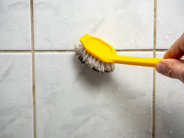 Best Office Mold Removal Services  in Mequon, WI