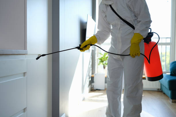 Certified Mold Removal in Mequon, WI