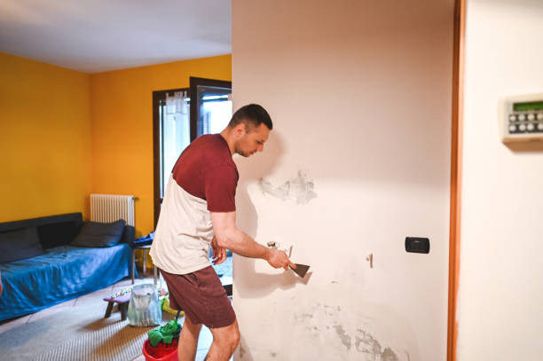 Best Professional Mold Removal  in Mequon, WI